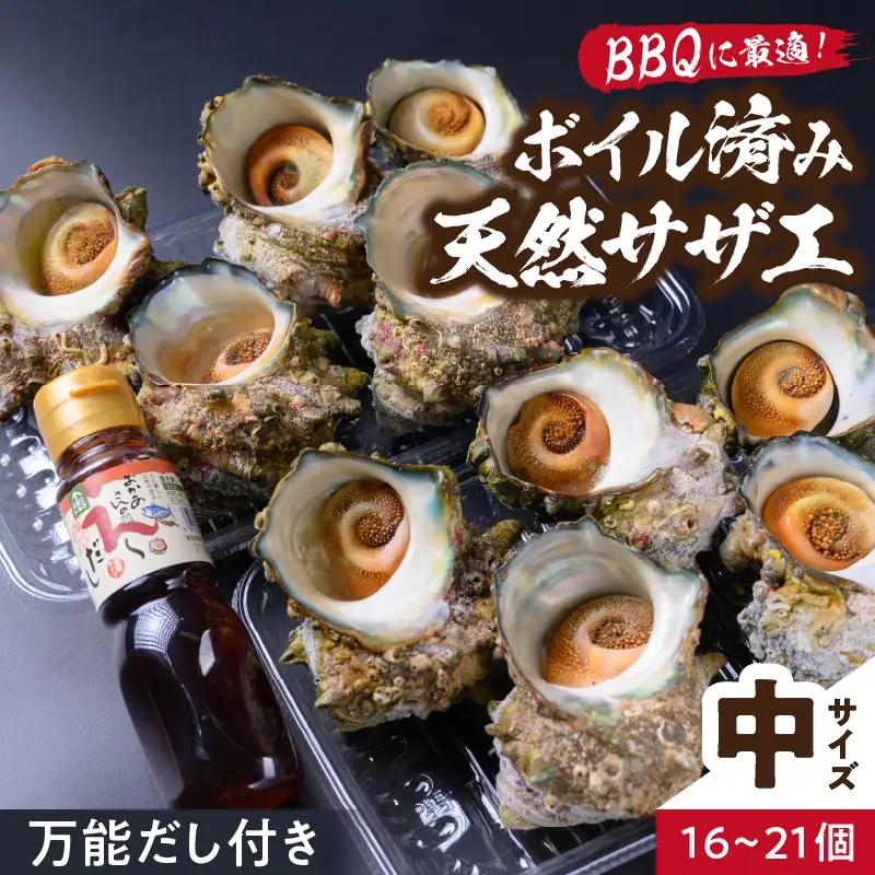 天然サザエボイル1.6㎏ 中サイズサザエ万能ダシ付き