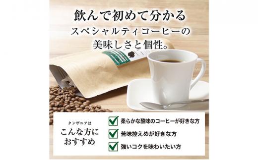 【豆】#902 タンザニア・キリマンジャロ キゴマ キボー ディープブルー AA コーヒー豆 310g 当日焙煎 大山珈琲