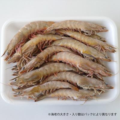 ふるさと納税 宜野座村 【養殖場から直送】急速冷凍車えび 訳アリ品 1kg(500gx2パック) |  | 02
