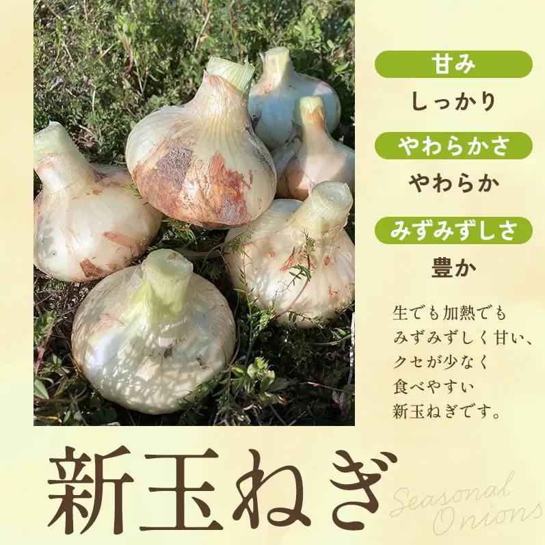新玉ねぎ 淡路島産 3kg もぐもぐファーム 甘い 新玉ねぎ