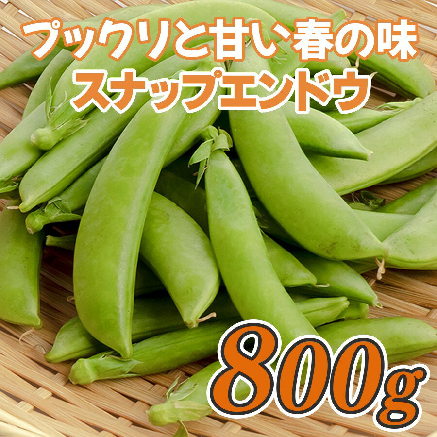 【ふるさと納税】スナップエンドウ 800g 豆 えんどう｜スナップえんどう 産地直送 新鮮野菜 旬の春野菜 採れたて 厳選 甘い ハウス サラダ 天ぷら お弁当 彩り みずみずしい フレッシュ 季節 農家応援 生産者応援 家庭用 おいしい 旬 健康 高知県 大月町