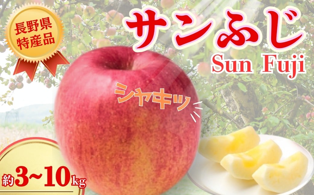 
                  【2026年先行予約】サンふじ 約3kg / 約5kg / 約10kg｜ 果物 フルーツ リンゴ 林檎 サンフジ さんふじ 千曲市 長野県 信州
                