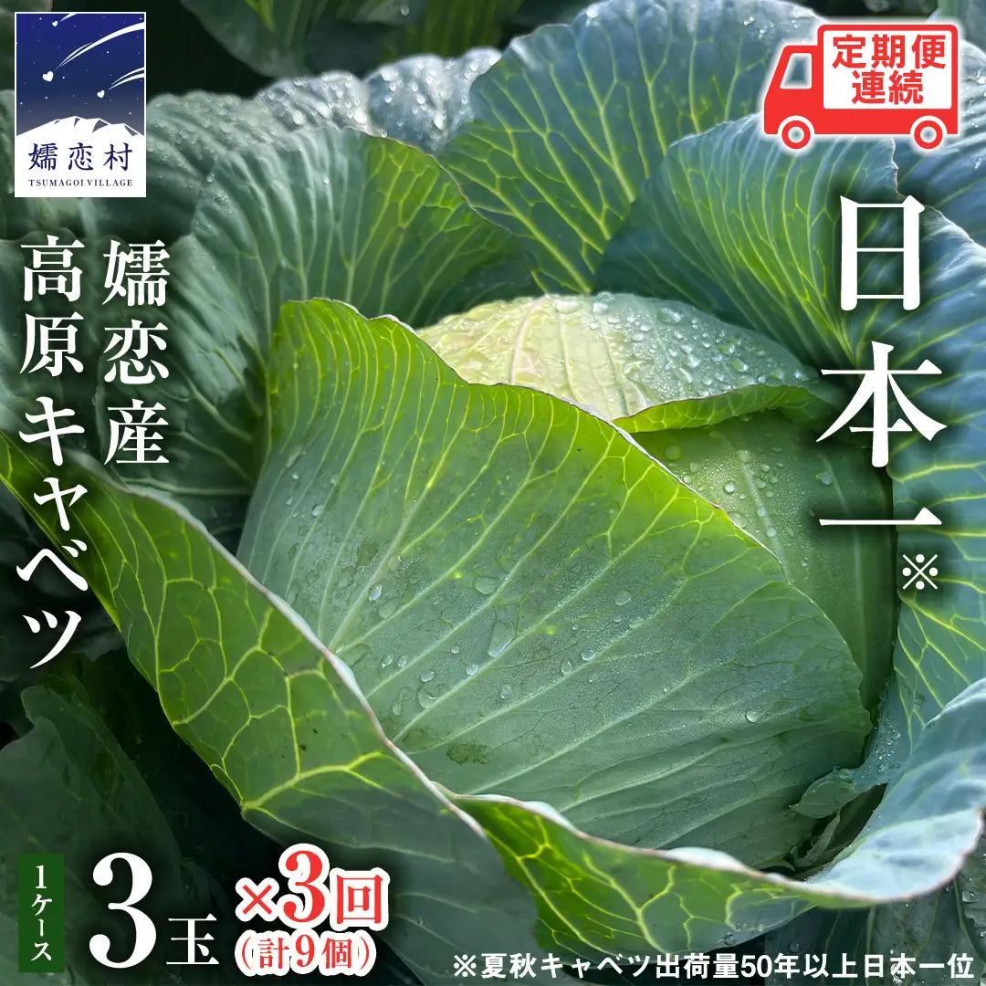 【7月中旬以降発送開始】 【 定期便 】 嬬恋キャベツ 嬬恋産 高原キャベツ3玉1ケース 3ヶ月連続 定期便 [AS011tu]