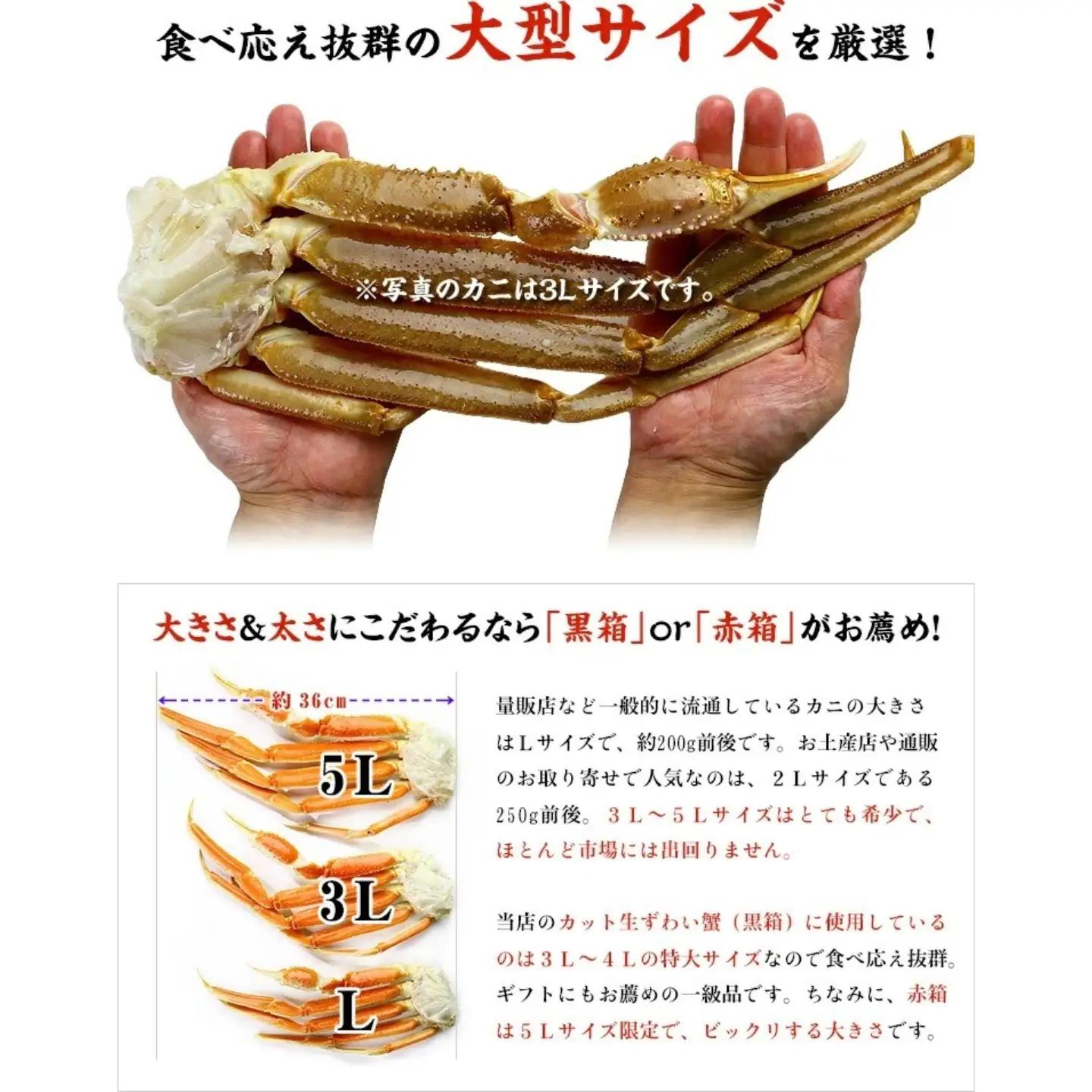 カット生ずわい蟹（高級品/黒箱）内容量4000g/総重量5200g　[024-b424_fn]