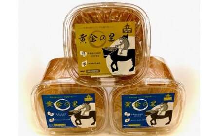 手作り味噌 ながしま黄金の里 900g×3個 /【nsm000】