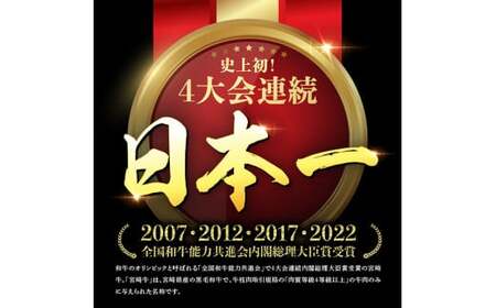 宮崎牛 厚切り ロースステーキ 300g【 肉 国産牛肉 牛 宮崎牛 牛 ステーキ 焼肉 牛 BBQ イベント 記念日 日本ハム 牛  牛肉 牛 】