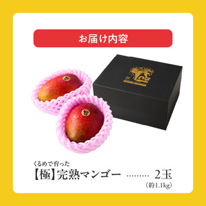 【2026年6月以降お届け】極　完熟マンゴー（2玉：約1.1kg）_完熟マンゴー 2玉 約 1.1kg 久留米産 平均糖度 17度～18度 完熟 マンゴー 国産 フルーツ トロピカルフルーツ 果物 デ