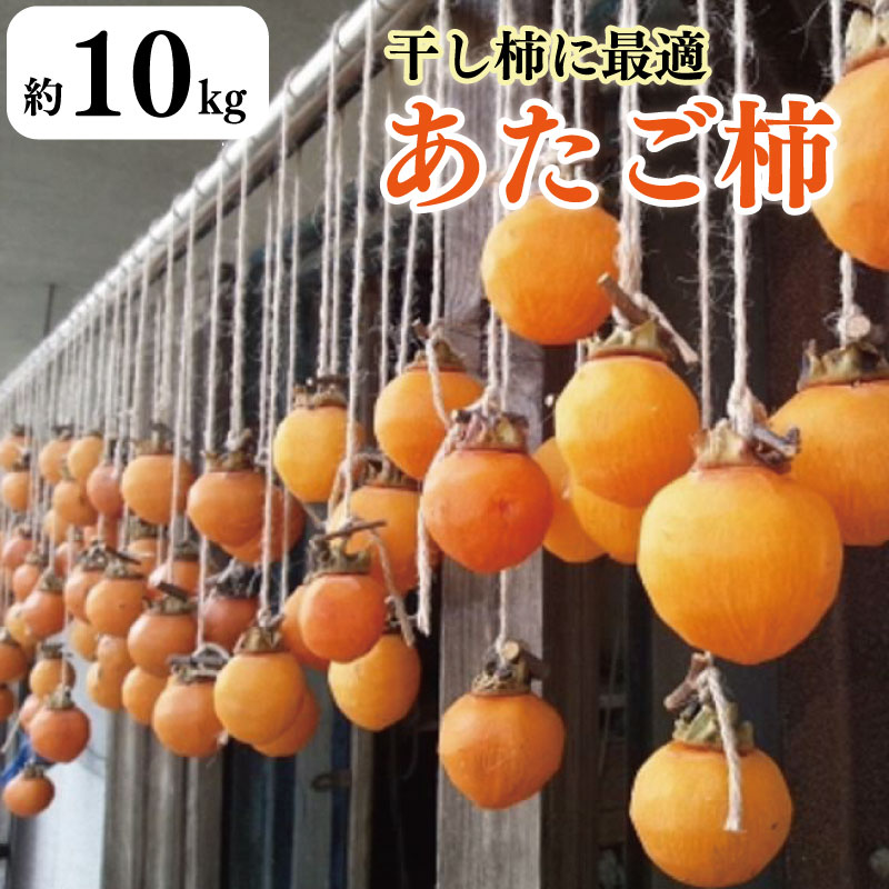 【ふるさと納税】 柿 あたご柿 10kg 愛宕柿 家庭用 干し柿 レシピ付き 先行予約 2025年11月上旬〜発送予定 果物 フルーツ デザート ケーキ ゼリー ジュース アイス ジャム 甘い カキ お菓子 旬 干柿 ほしがき お取り寄せ 徳島県 吉野川市