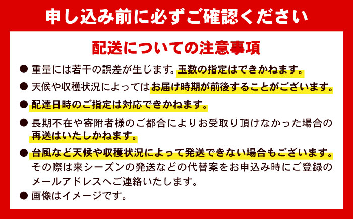 【2026年発送 先行予約】 訳あり 完熟マンゴー 約3kg (約1.5kg (3～6玉) ×2箱) マンゴー 沖縄 果物 フルーツ ギフト 沖縄市 / ちゃんぷる～市場 [BCAA003]
