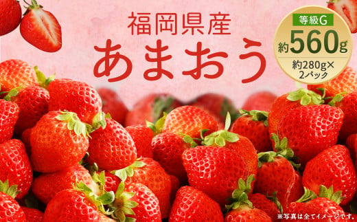 【先行予約】あまおう 等級G 約560g 約280g×2パック いちご 苺 果物 フルーツ 【2025年2月上旬～2025年3月下旬発送予定】