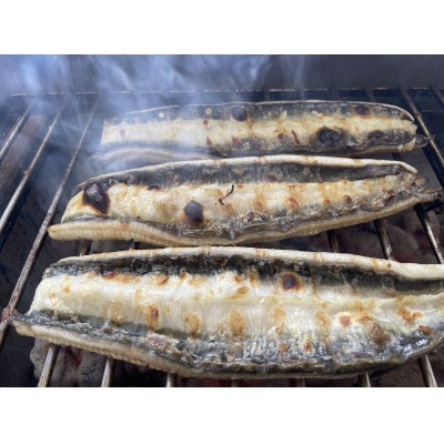 【国産うなぎ】大サイズ140g -170g　三河一色産　3尾　炭火蒲焼き(タレ付き)【配送不可地域：離島】【1659356】