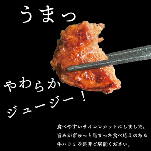 べこ政宗【牛ハラミたれ仕込み】750g (250g×3)｜牛肉 牛ハラミ 焼肉用 冷凍 小分け 焼肉 BBQ 味付き 家計応援 焼くだけ 牛はらみ 牛ハラミ 焼肉 牛はらみ 牛ハラミ 焼肉 [0219