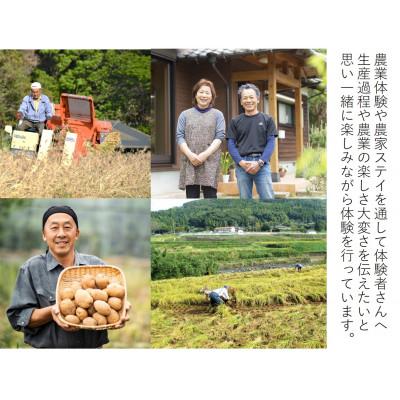 ふるさと納税 松浦市 農漁村体験の聖地「松浦党の里」旬の野菜セット |  | 01