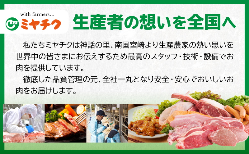 数量限定 宮崎牛 肩ロース スライス 400g 肉質等級4等級以上 牛肉 黒毛和牛 国産 食品 おかず 最高級 ブランド牛 すき焼き しゃぶしゃぶ 肉じゃが 人気 おすすめ 高級 お祝い 記念日 贈り