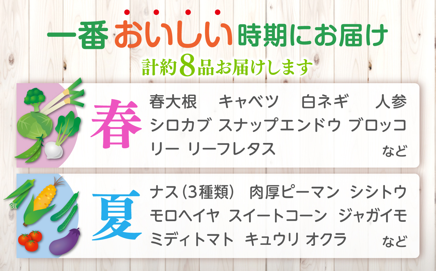 【旬の野菜セット】野菜 産地直送 詰め合わせ 栽培期間中農薬不使用 セット　島根県松江市/須山農園 [ALBD004]