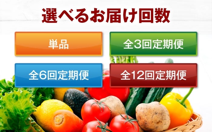 野菜 果物 やさい 少量セット 食べきり 野菜 定期便 果物 定期便 フルーツ 定期便