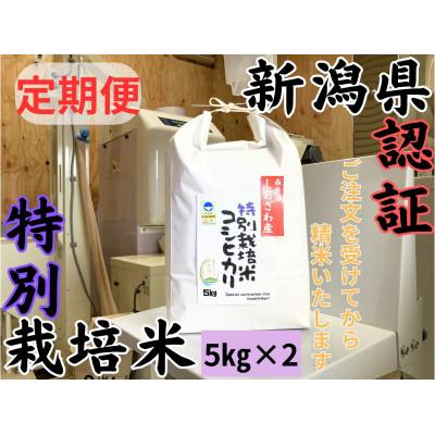 ふるさと納税 南魚沼市 【毎月定期便】新潟県南魚沼 しおざわ産特別栽培米コシヒカリ 10kg×全6回 | 