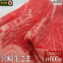 【ふるさと納税】＜宮崎牛こま600g(300g×2)＞ ※入金確認後、3か月以内に順次出荷します。こま肉 牛肉 特産品 牛乃屋 宮崎県 高鍋町 【冷凍】