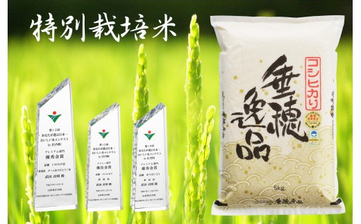 【令和7年産】コシヒカリ 白米5kg お米コンテストで金賞、武田農園の情熱米コシヒカリ FC013008