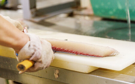 ヒラス（ヒラマサ）1本 4.0kg以上 養殖 刺身 しゃぶしゃぶ[RBK005] ヒラマサ ヒラス ヒラマサ ヒラス ヒラマサ ヒラス ヒラマサ ヒラス ヒラマサ ヒラス九州 長崎