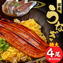 【ふるさと納税】うなぎ 蒲焼 約200g × 4尾 計約800g 特大 独自 秘伝のタレ 山椒 付き 冷凍 うな丼 うな重 ひつまぶし お土産 ギフト 贈り物 国産 食品 食べ物 福岡県 久留米市 お取り寄せ お取り寄せグルメ 送料無料