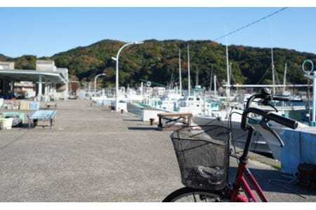 漁港直送！はまみや海産　伊勢エビ一夜干＜10月～12月頃＞【30セット限定】