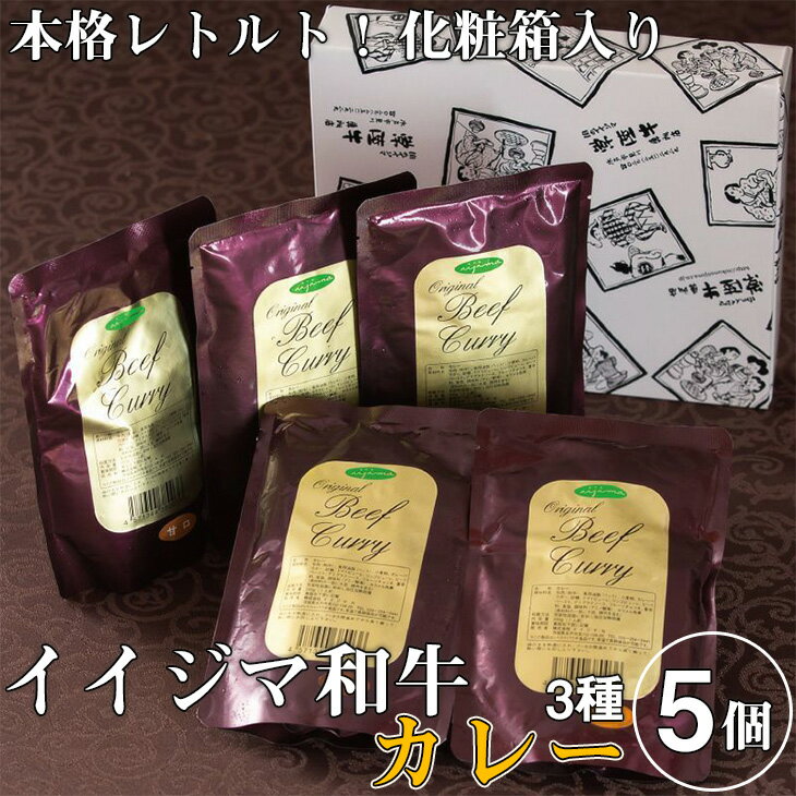 【ふるさと納税】レトルト カレー イイジマ和牛カレー 3種 5個入り 11000円 化粧箱 ギフト ビーフ 食べ物 ご当地カレー 甘口 中辛 辛口 高級 敬老の日 プレゼント 誕生日 食品 茨城県 水戸市（DU-16）