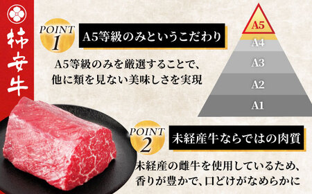【全6回定期便】最高級A5等級 三重県産 黒毛和牛 柿安牛 ローストビーフ用(モモ)400ｇ 亀山市/柿安本店[AMBW039]