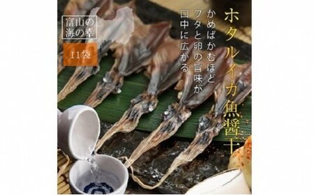 【1月以降順次発送】越中氷見屋　ホタルイカ 魚醤干し 18尾入り × 11袋　| ホタルイカ ほたるいか いか 珍味 魚醤 富山 富山湾 氷見 つまみ 酒の肴 産地直送 無添加 魚介 名産 小分け 姿干し