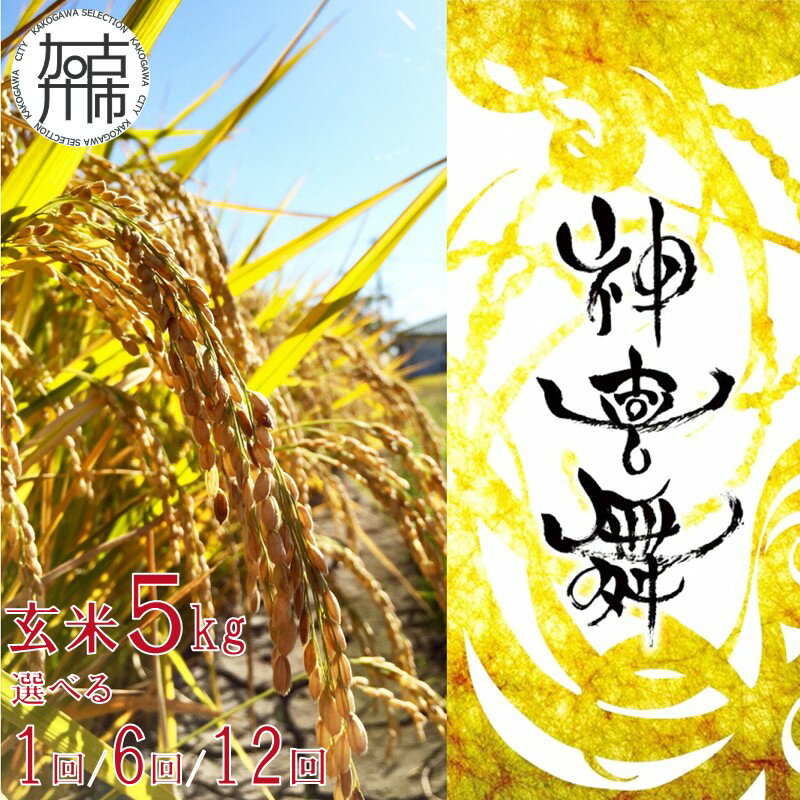 【ふるさと納税】【レビューキャンペーン】＼選べるお届け回数／お米【神喜舞】玄米 [令和7年産] 5kg×1 / 5kg×6ヶ月定期便 / 5kg×12ヶ月定期便《 神喜米 兵庫県 お米 玄米 5キロ 30キロ 60キロ 米 国産 数量限定 11月中旬より順次発送予定 送料無料 ヒノヒカリ 》