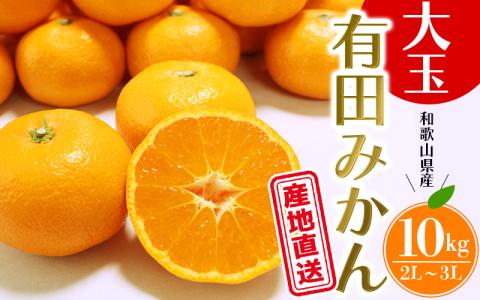 【先行予約】 ＼ みかんの名産地 和歌山県産／ 農家直送 大玉 有田みかん 10kg （2L～3L） ひとつひとつ手選別で厳選【2024年11月下旬～1月中旬ごろに順次発送予定】 みかん 蜜柑 ミカン 柑橘【hdm001-2】