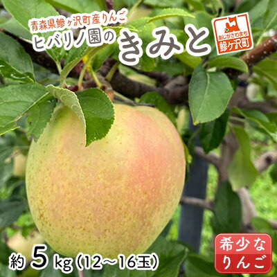 【ふるさと納税】りんご 青森 きみと リンゴ 約 5kg (12～16玉) 青森県 鰺ヶ沢町産 ヒバリノ園 フルーツ 果物 果物類 白神山地 林檎 2024 ※オンライン決済のみ 　お届け：2025年11月15日～11月25日