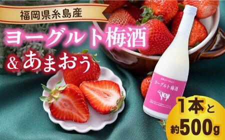 【先行予約】【冬】ヨーグルト梅酒720ml ×あまおう 約250g×2パック 【2025年12月上旬以降順次発送】糸島市 / 南国フルーツ株式会社 [AIK012]