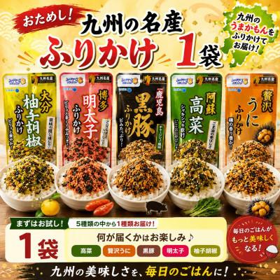 ふるさと納税 玉名市 【毎月定期便】毎月楽しむ九州の名産ふりかけ 1袋(玉名市)全2回