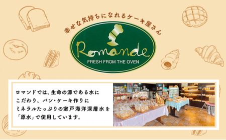 6回 定期便 食パンバラエティセット 海洋深層水食パン 4斤 [ロマンド 高知県 rm013]