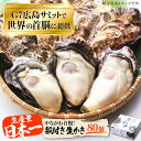 【ふるさと納税】牡蠣 生食 殻付き かき カキ 広島G7で提供された牡蠣！ 【着日指定可能】やながわ自慢！殻付き 牡蠣 80個（約10kg） かき 海鮮 和食 海産物 簡単 レシピ 広島県産 江田島市 /マルサ・やながわ水産有限会社[XBL008]