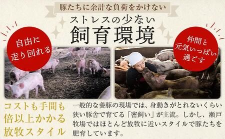 ＼寄附額改定／【2月発送】瀬戸内育ち “極上”の豚肉「瀬戸のもち豚せと姫」ステーキセット約900g (150g×6枚)【肉 豚肉  ステーキ 国産 精肉 ブランド 広島県 福山市 ステーキ ステーキ 