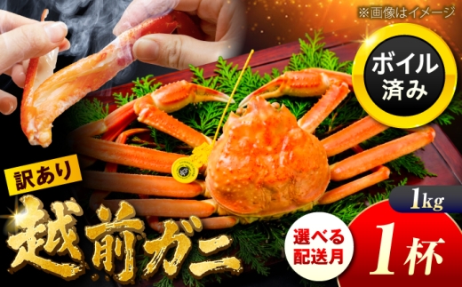【先行予約/2月配送】訳アリ 脚折れあり 越前がに 1kg×1ハイ 小浜市 / まるほ商店【配送不可地域：北海道・沖縄・離島】 [BFCS074]