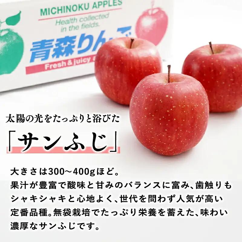 りんご 山の完熟サンふじ 約5kg りんご