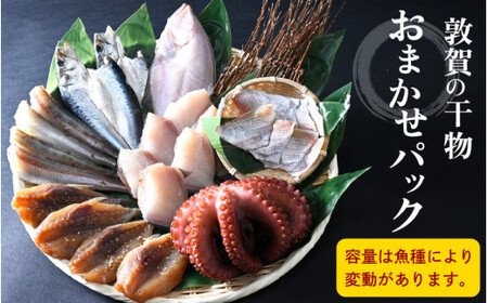 [051-a011] 干物 敦賀の「干物詰め合わせセット」【海鮮 おかず おまかせ 保存料不使用】