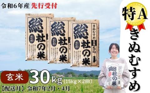 【令和6年産米】特Aきぬむすめ【玄米】30kg 定期便（15kg×2回）岡山県総社市産〔令和7年2月・4月配送〕24-030-015