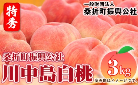 No.184 もも【川中島白桃・2026年産先行受付】特秀3kg（9～11玉）桑折町振興公社