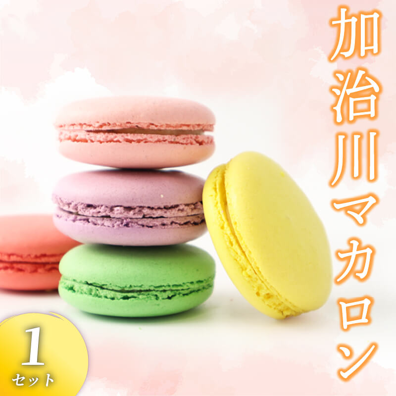 【ふるさと納税】 マカロン 1セット 【 イチジク 枝豆 桜 苺 はちみつ レモン いちご えだまめ 洋菓子 菓子 お菓子 スイーツ 甘味 ギフト プレゼント お土産 新潟県 新発田市 sinpo002 】