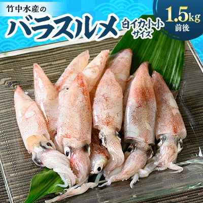 竹中水産のバラスルメ(白イカの小小サイズ)1.5kg【C22−271】【配送不可地域：離島】【1115289】