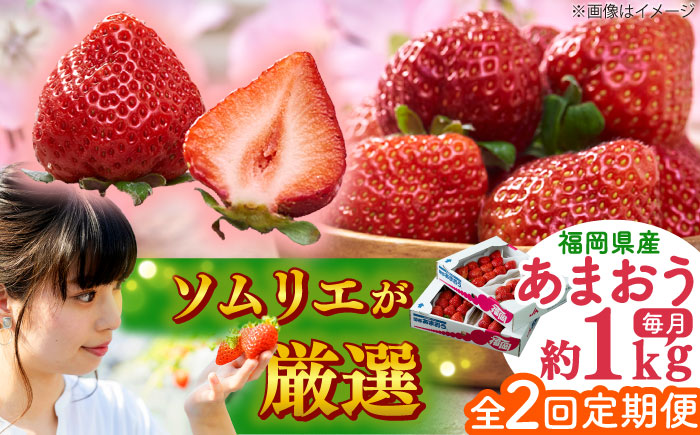 【全2回定期便】福岡産【春】 あまおう 4パック 吉富町/南国フルーツ株式会社 [BGAG051]