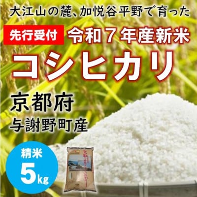 【先行受付】 令和7年新米　大江山の麓、京都府与謝野町で育った丹後産コシヒカリ　精米5kg　農家直送【1632450】