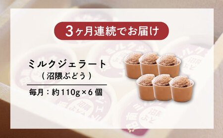 【全3回定期便】沼南ミルクジェラート 沼隈ぶどう ６個　アイス  ぶどう  アイス アイスクリーム デザート スイーツ ご当地 広島県福山市/甚ごろう[BAEC042]