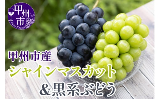 【クール配送】シャインマスカット＆黒系ぶどう 各1房（2房合計約1kg）【2025年発送】（KFT）B11-1810 【シャインマスカット 葡萄 ぶどう ブドウ 令和7年発送 期間限定 山梨県産 甲州市 フルーツ 果物】