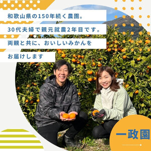 【ふるさと納税】【先行予約】有田みかん 極早生 10kg 家庭用 S～２Lサイズ 混合 【2025年10月下旬～11月頃発送】   柑橘 フルーツ みかん 産地直送 お取り寄せ 送料無料
