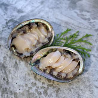 活き蝦夷あわび　6個【配送不可地域：離島・北海道・沖縄県・東北・中国・四国・九州】